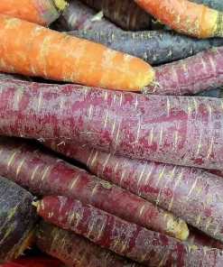 300 Black Nebula Carrot Seeds - Dark Purple Root Vegetable Seeds - Image 9