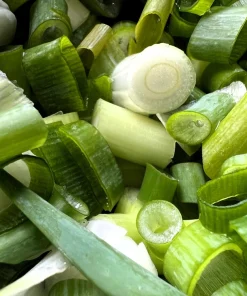 300 Evergreen Nebuka Bunching Onion Seeds - Japanese Allium Fistulosum Vegetable - Image 4