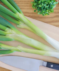 300 Evergreen Nebuka Bunching Onion Seeds - Japanese Allium Fistulosum Vegetable - Image 8
