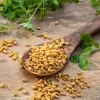 300 Fenugreek Seeds - Trigonella Foenum Graecum Herb Flower Seeds for Culinary & Medicinal Use - Image 1