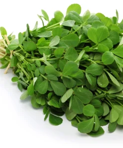 300 Fenugreek Seeds - Trigonella Foenum Graecum Herb Flower Seeds for Culinary & Medicinal Use - Image 3