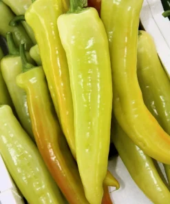 300 Hungarian Hot Wax Pepper Seeds - Hot Banana Pepper Vegetable Seeds - Image 4