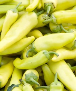 300 Hungarian Hot Wax Pepper Seeds - Hot Banana Pepper Vegetable Seeds - Image 6