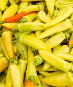 300 Hungarian Hot Wax Pepper Seeds - Hot Banana Pepper Vegetable Seeds - Image 8