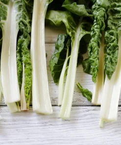 300 Lucullus Swiss Chard Seeds - Beta Vulgaris Vegetable Seeds - Image 5