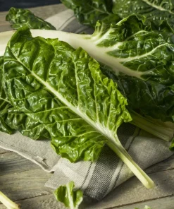 300 Lucullus Swiss Chard Seeds - Beta Vulgaris Vegetable Seeds - Image 1