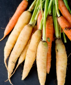 300 Lunar White Carrot Seeds - Daucus Carota Vegetable Seeds - Image 1