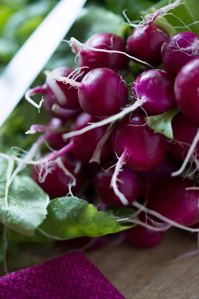 300 Purple Plum Radish Seeds - Raphanus Sativus Vegetable Garden Planting - Image 1