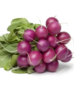 300 Purple Plum Radish Seeds - Raphanus Sativus Vegetable Garden Planting - Image 2