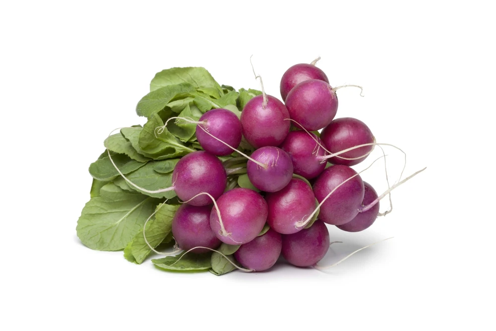 300 Purple Plum Radish Seeds - Raphanus Sativus Vegetable Garden Planting - Image 2