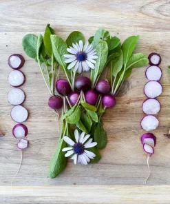 300 Purple Plum Radish Seeds - Raphanus Sativus Vegetable Garden Planting - Image 6