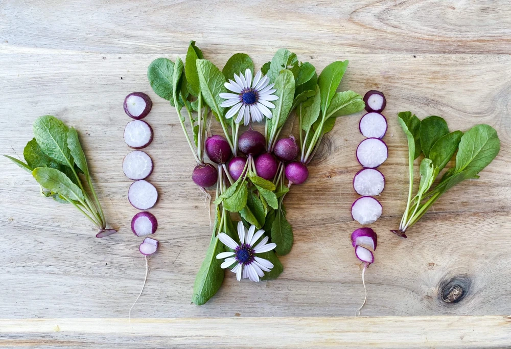 300 Purple Plum Radish Seeds - Raphanus Sativus Vegetable Garden Planting - Image 6