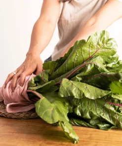 300 Ruby Red Swiss Chard Seeds - Beta Vulgaris Cicla - Vegetable Seeds - Image 9
