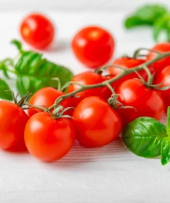 300 Small Red Cherry Tomato Seeds - Lycopersicon Lycopersicum Vegetable - Image 4