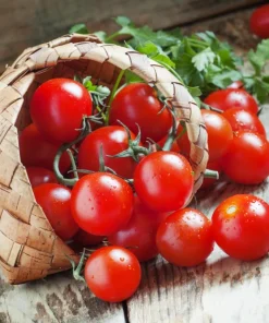 300 Small Red Cherry Tomato Seeds - Lycopersicon Lycopersicum Vegetable - Image 1