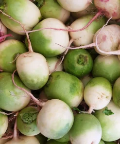 300 Watermelon Radish Seeds - Beauty Heart Pink White Vegetable - Image 4