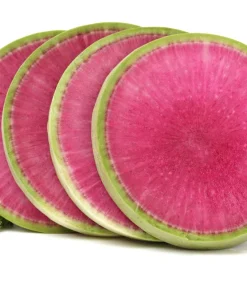 300 Watermelon Radish Seeds - Beauty Heart Pink White Vegetable - Image 8