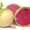 300 Watermelon Radish Seeds - Beauty Heart Pink White Vegetable - Image 1