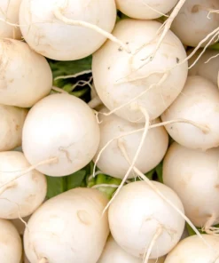 300 White Egg Turnip Vegetable Seeds - Brassica Rapa - Image 11