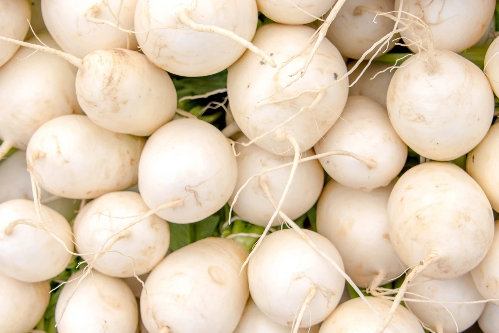 300 White Egg Turnip Vegetable Seeds - Brassica Rapa - Image 11