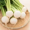 300 White Egg Turnip Vegetable Seeds - Brassica Rapa - Image 1
