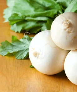 300 White Egg Turnip Vegetable Seeds - Brassica Rapa - Image 7