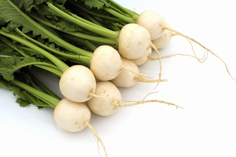 300 White Egg Turnip Vegetable Seeds - Brassica Rapa - Image 8