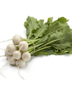 300 White Egg Turnip Vegetable Seeds - Brassica Rapa - Image 9