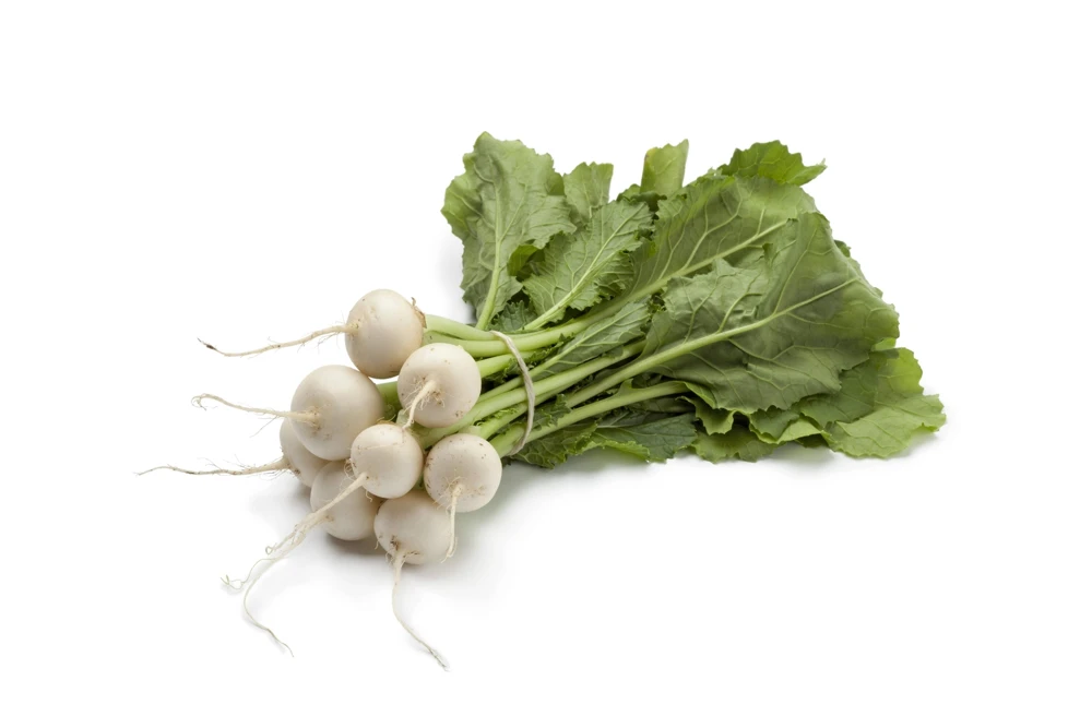 300 White Egg Turnip Vegetable Seeds - Brassica Rapa - Image 9