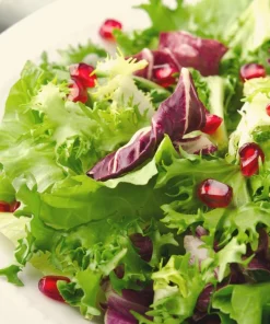 3000 Green Curled Endive Seeds - Moss, Salad, Escarole Cichorium Endiva - Image 10