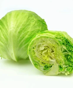 3000 Iceberg Head Lettuce Seeds - Crisp, Classic Vegetable Seeds - Image 9