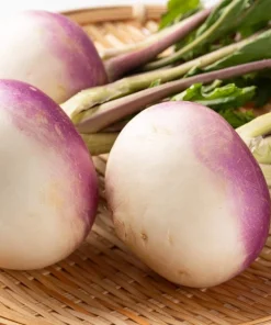 3000 Purple Top White Globe Turnip Seeds - Vegetable Seeds for Planting - Image 1