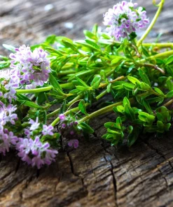 3000 Summer Savory Seeds – Satureja Hortensis Herb Seeds – Purple Flowers - Image 6