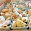 340G Elephant Garlic Bulbs - Sweet Allium for Planting & Eating - Perennial - Image 1