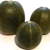 35 Sweet Tatume Squash Seeds - Cucurbita Pepo Calabash Calabacita Zucchini - Image 1