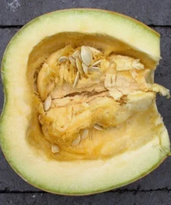 35 Sweet Tatume Squash Seeds - Cucurbita Pepo Calabash Calabacita Zucchini - Image 6