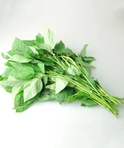 350+ Nalta Jute Seeds - Saluyot, Molokhia, Egyptian Spinach - Easy Grow - Image 11
