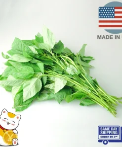 350+ Nalta Jute Seeds - Saluyot, Molokhia, Egyptian Spinach - Easy Grow - Image 2