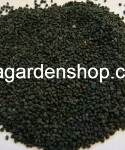 350+ Nalta Jute Seeds - Saluyot, Molokhia, Egyptian Spinach - Easy Grow - Image 4