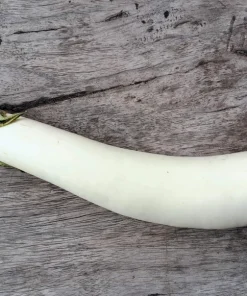 40 White Star Finger Fruit Eggplant Seeds - Solanum Melongena Aubergine Vegetable Seeds - Image 1
