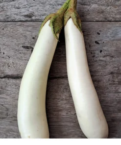 40 White Star Finger Fruit Eggplant Seeds - Solanum Melongena Aubergine Vegetable Seeds - Image 6