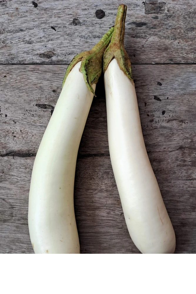 40 White Star Finger Fruit Eggplant Seeds - Solanum Melongena Aubergine Vegetable Seeds - Image 6