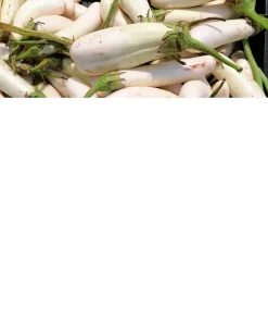 40 White Star Finger Fruit Eggplant Seeds - Solanum Melongena Aubergine Vegetable Seeds - Image 7
