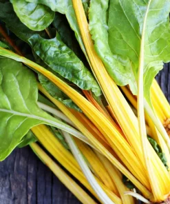 40 Yellow Canary Swiss Chard Seeds - Beta Vulgaris Perpetual Spinach Vegetable - Image 2