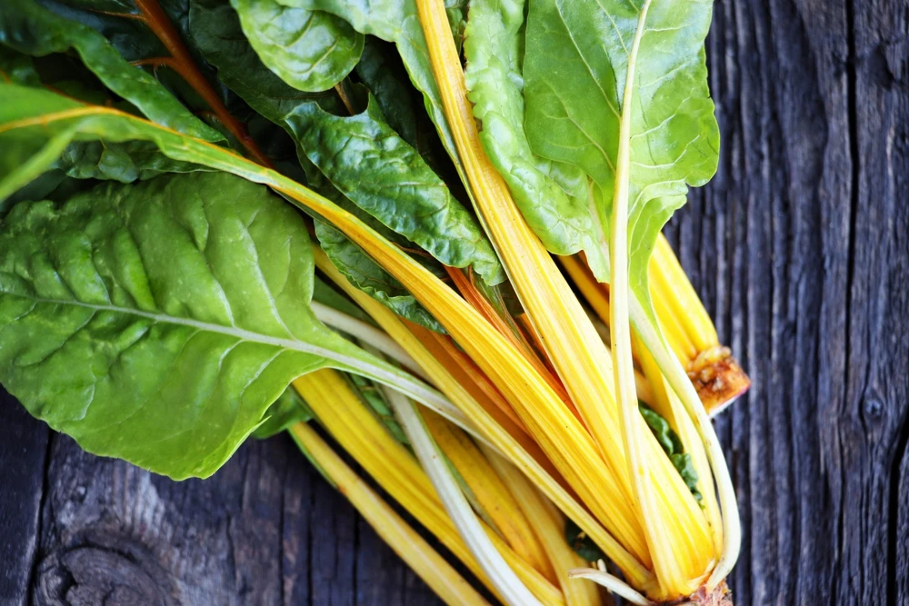 40 Yellow Canary Swiss Chard Seeds - Beta Vulgaris Perpetual Spinach Vegetable - Image 2