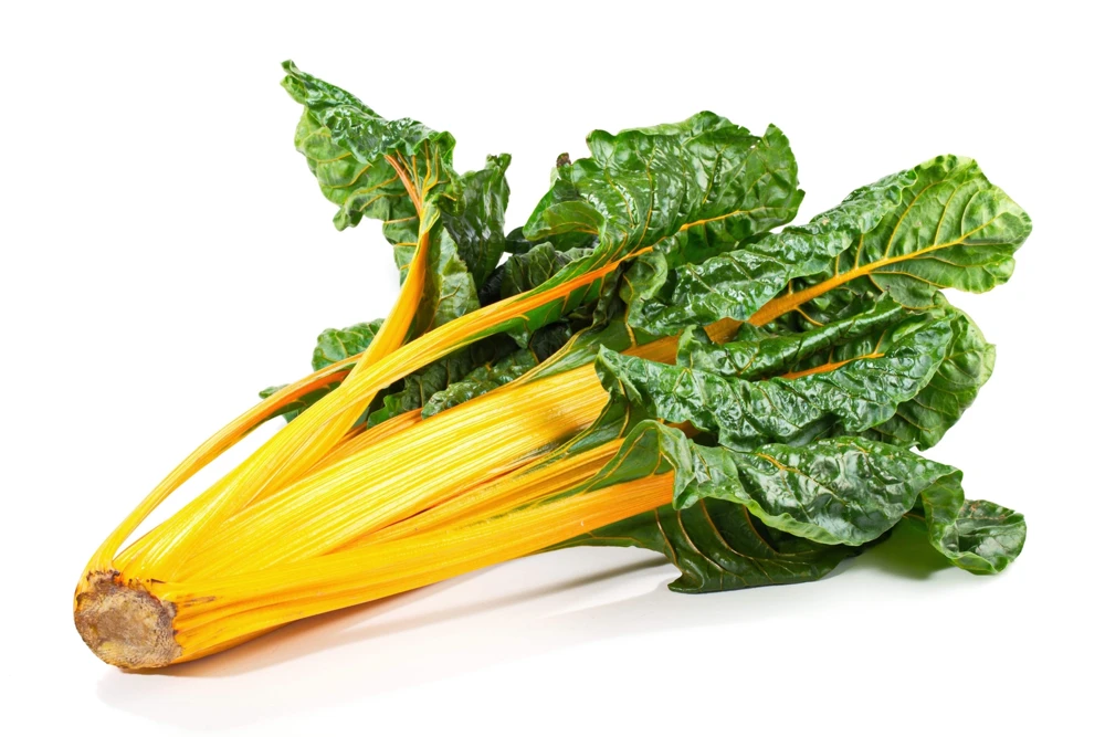 40 Yellow Canary Swiss Chard Seeds - Beta Vulgaris Perpetual Spinach Vegetable - Image 3