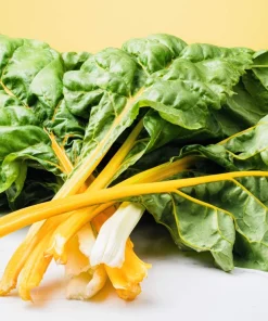 40 Yellow Canary Swiss Chard Seeds - Beta Vulgaris Perpetual Spinach Vegetable - Image 6