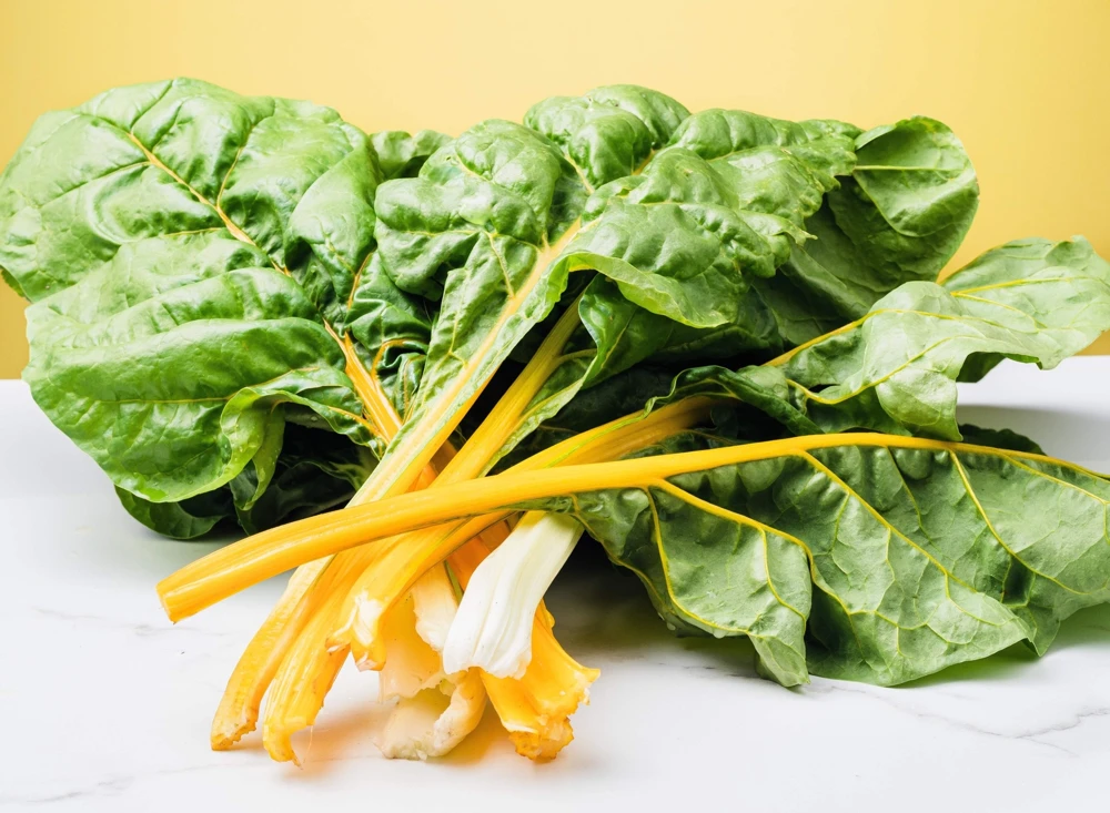 40 Yellow Canary Swiss Chard Seeds - Beta Vulgaris Perpetual Spinach Vegetable - Image 6