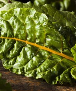 40 Yellow Canary Swiss Chard Seeds - Beta Vulgaris Perpetual Spinach Vegetable - Image 7