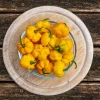 40 Yellow Jamaican Hot Pepper Seeds – Capsicum Chinense Scotch Bonnet Vegetable Seeds - Image 1